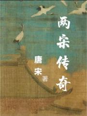 两宋传奇 两宋传奇