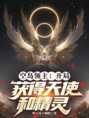 空岛领主：开局获得天使和精灵