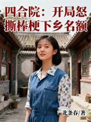 四合院：开局怒撕棒梗下乡名额