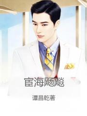 宦海飏飚