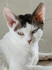 刚穿合欢就被长老拿下啦