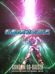 我是0高达驾驶员