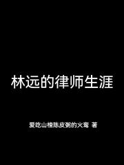 林远的律师生涯