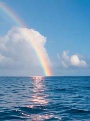 只为与你，向羽