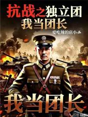 抗战之独立团我当团长