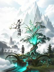 凡尘寻道传