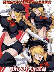 随机宝可梦：开局掠夺火箭队模式