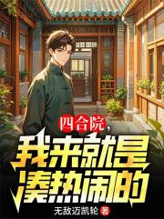 四合院，我来就是凑热闹的