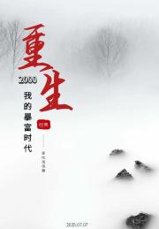 2000：我的暴富时代