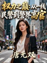 权力之巅：从一线民警到警界高官