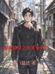 柳条胡同之我爹张老三