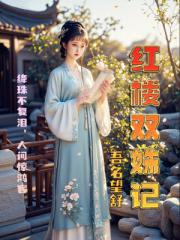 红楼双姝记
