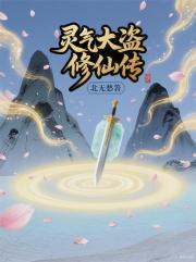 灵气大盗修仙传