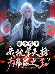 暗夜尊主我执掌天榜为幕后之王？