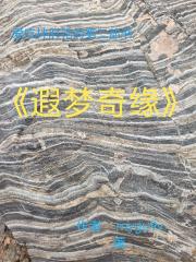 爱吃拌肘花的第2本书