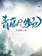 青藤凡修记 青藤凡修记