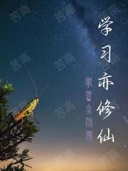 学习亦修仙