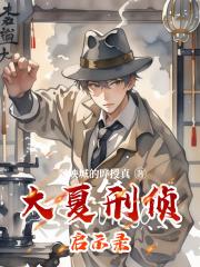 大夏刑侦启示录
