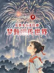 后世女行走红楼梦甄嬛传世界