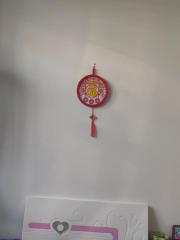 NEW的漫长的精彩人生刘璐着