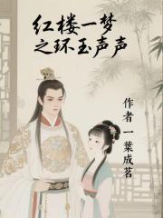 红楼一梦之环玉声声