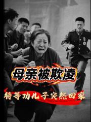 母亲被欺压，特等功儿子突然回家