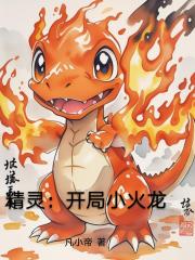 精灵：开局小火龙