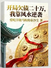 开局欠债二十万，我靠风水逆袭