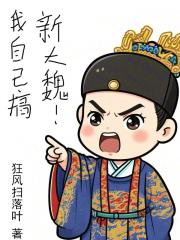 我自己搞，新大魏！