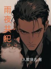 雨夜共犯